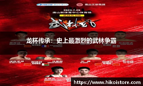 龙杯传承：史上最激烈的武林争霸